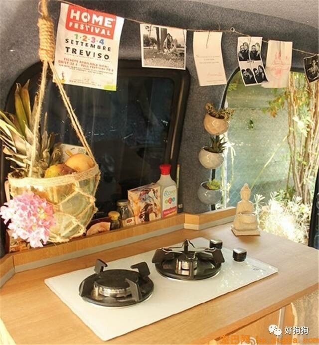 这可能是我见过最幸福的金毛和最能干的妹子了！-6.jpeg