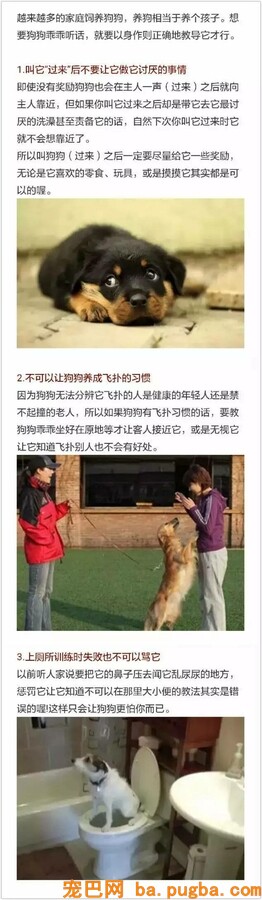 假如你爱狗，必然要看完！-1.jpeg