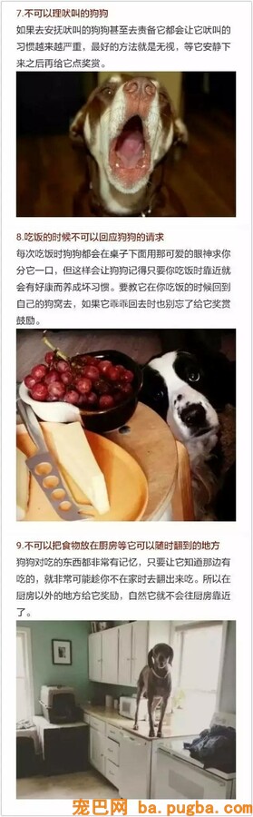 假如你爱狗，必然要看完！-3.jpeg