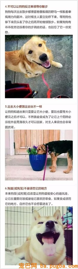 假如你爱狗，必然要看完！-2.jpeg