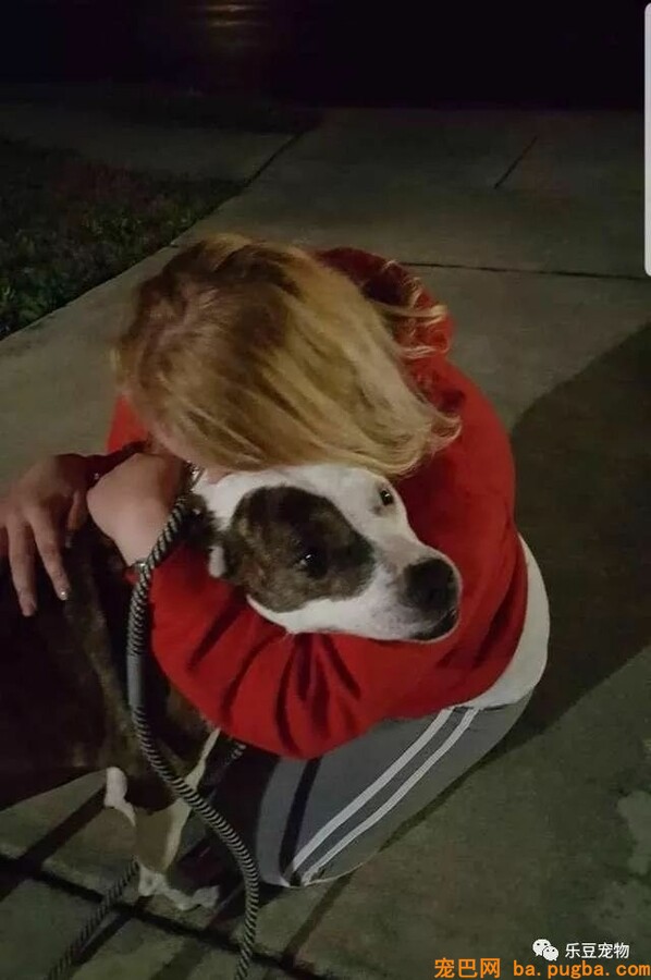 爱犬为救一只漂泊狗失踪，从此开启了长达八年的寻家路！-6.jpeg