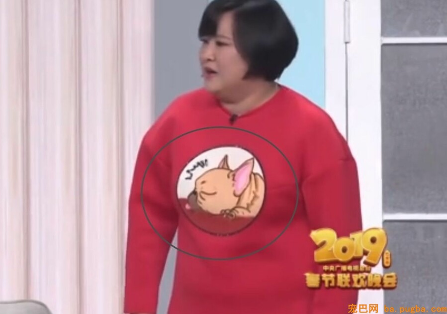 贾玲：以后再也不养狗，我没有养狗的资格...-1.jpeg