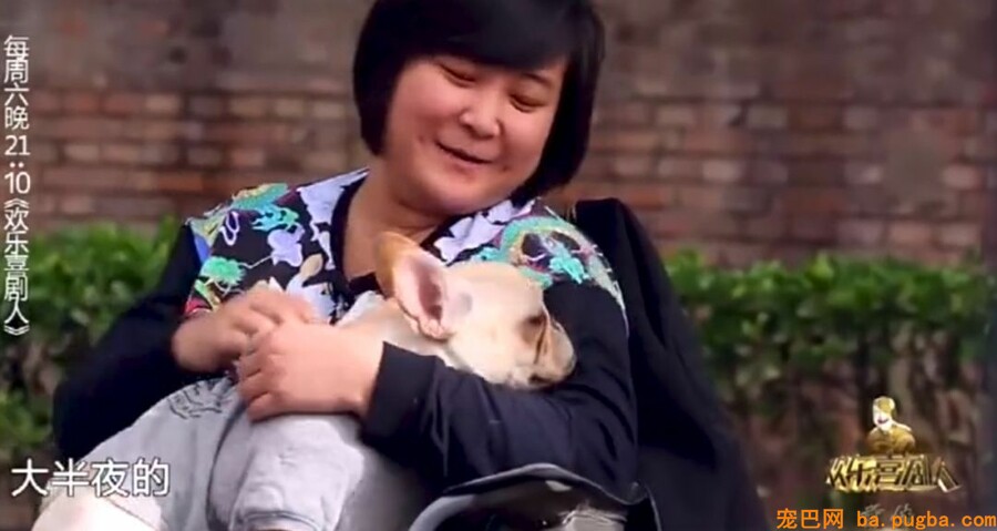贾玲：以后再也不养狗，我没有养狗的资格...-3.jpeg