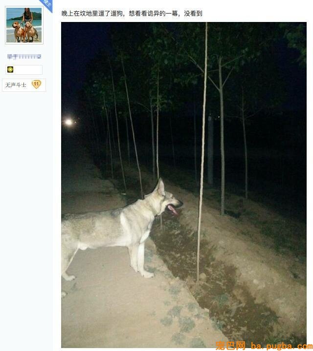 什么玻璃心？养过狗的内心都很强大-5.jpeg