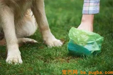什么玻璃心？养过狗的内心都很强大-8.jpeg