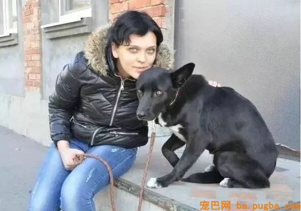 漂泊狗跨越五百公里寻找恩人，只为酬报当年的救命之恩，一饭之情！-1.jpeg
