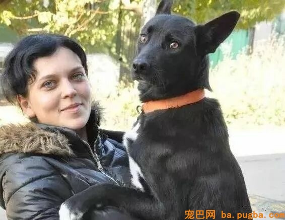 漂泊狗跨越五百公里寻找恩人，只为酬报当年的救命之恩，一饭之情！-5.jpeg