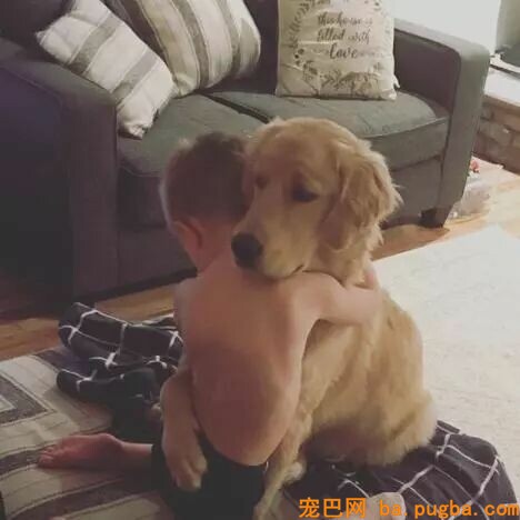 狗狗和孩子相处的画面……这大概就是天使遇上天使吧！-1.jpeg