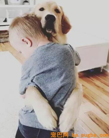 狗狗和孩子相处的画面……这大概就是天使遇上天使吧！-3.jpeg