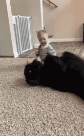 狗狗和孩子相处的画面……这大概就是天使遇上天使吧！-12.gif
