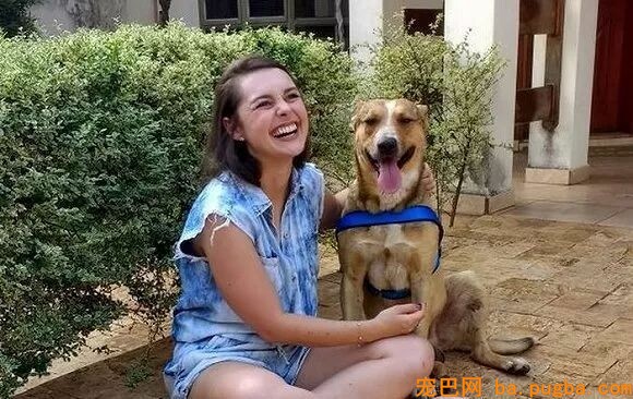 漂泊狗闯入他俩婚礼公然砸场子！这对夫妻竟然这么做…-8.jpeg