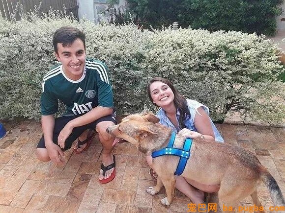 漂泊狗闯入他俩婚礼公然砸场子！这对夫妻竟然这么做…-11.jpeg