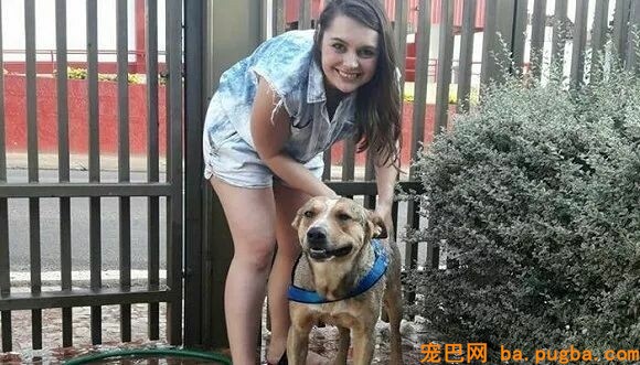 漂泊狗闯入他俩婚礼公然砸场子！这对夫妻竟然这么做…-10.jpeg