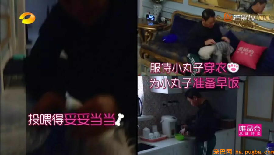 爸妈：我怎么会可能抱着条狗睡觉！死都不成能......哎呀真软！-1.jpg