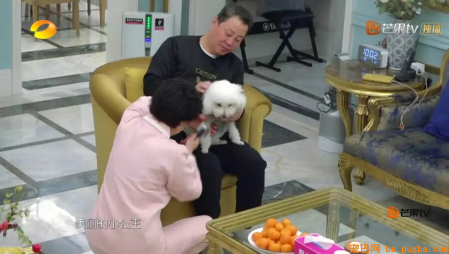 爸妈：我怎么会可能抱着条狗睡觉！死都不成能......哎呀真软！-4.jpg
