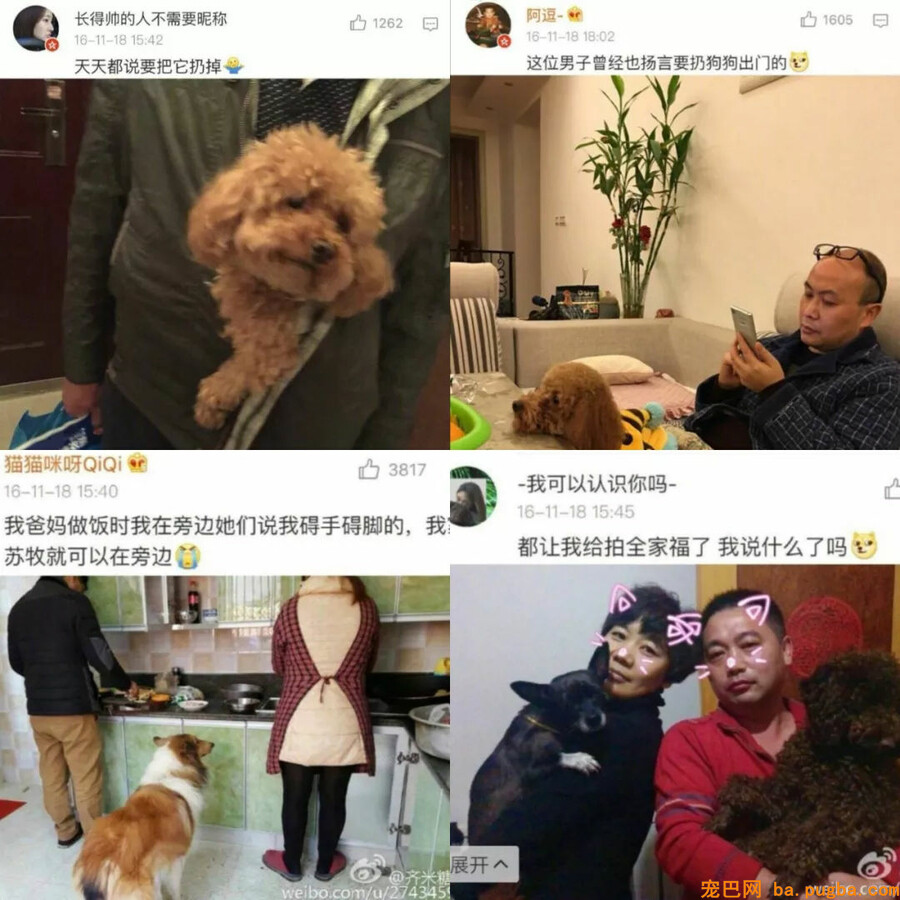 爸妈：我怎么会可能抱着条狗睡觉！死都不成能......哎呀真软！-7.jpg