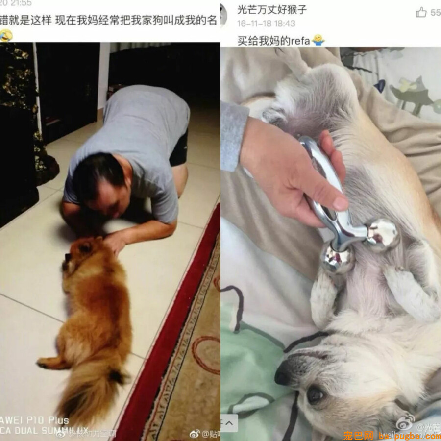 爸妈：我怎么会可能抱着条狗睡觉！死都不成能......哎呀真软！-9.jpg