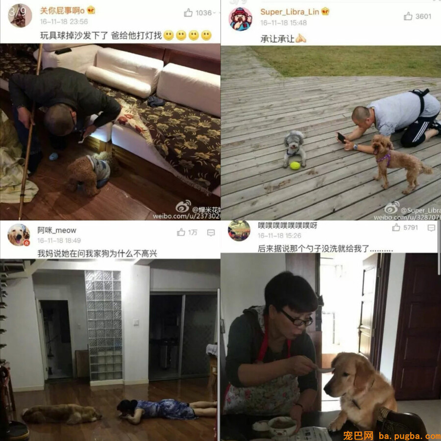 爸妈：我怎么会可能抱着条狗睡觉！死都不成能......哎呀真软！-8.jpg