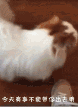 和狗狗说话很傻？NO，这恰恰说明你很聪明！-3.gif