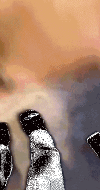 和狗狗说话很傻？NO，这恰恰说明你很聪明！-4.gif