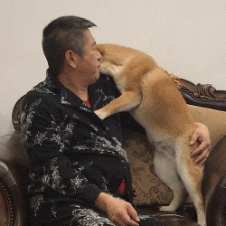 和狗狗说话很傻？NO，这恰恰说明你很聪明！-5.gif