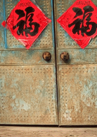 沙雕狗盘点，冠军当然是...-19.gif