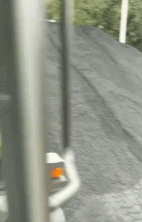 沙雕狗盘点，冠军当然是...-29.gif