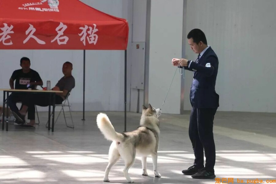 2018CKU廊坊优生繁育展-7.jpeg