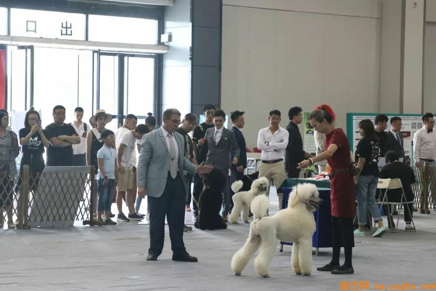 2018CKU廊坊优生繁育展-9.jpeg