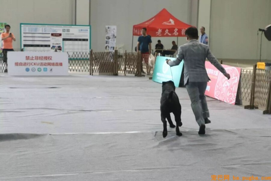 2018CKU廊坊优生繁育展-8.jpeg