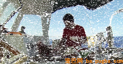 90后帅哥带着一只母鸡环游世界，起初为了每天能吃上鸡蛋，成果却……-12.gif