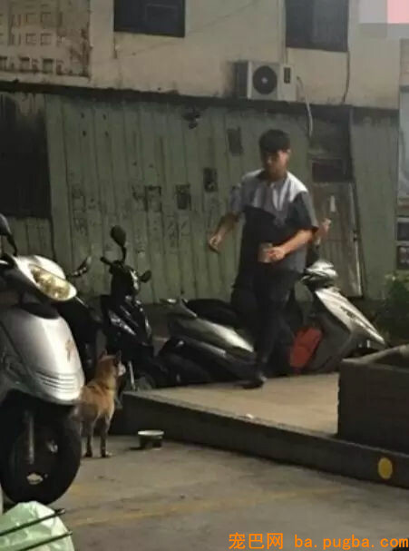 小哥哥拿出罐头喂漂泊狗，成果下一幕.....几乎帅到不行！-1.jpg