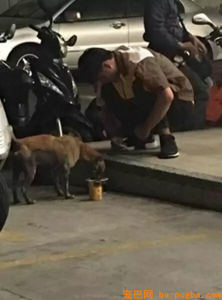 小哥哥拿出罐头喂漂泊狗，成果下一幕.....几乎帅到不行！-3.jpg