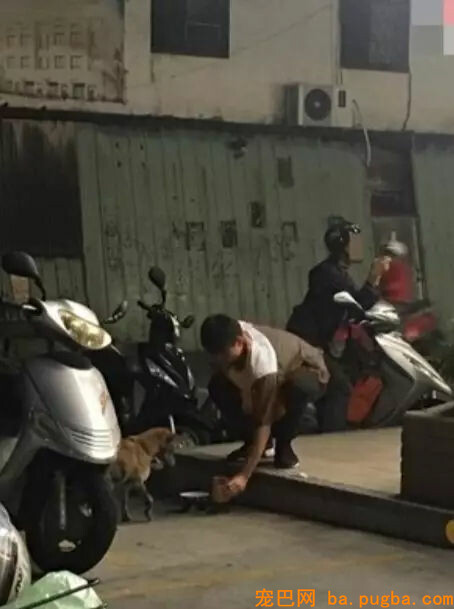 小哥哥拿出罐头喂漂泊狗，成果下一幕.....几乎帅到不行！-2.jpg