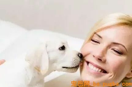 狗狗总爱舔我的脸和嘴，我的内心是崩溃的，直到我知道了原因……-6.jpeg