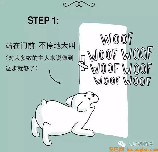 狗狗们注意，当主人不听话的时候你会需要这个...-1.jpeg