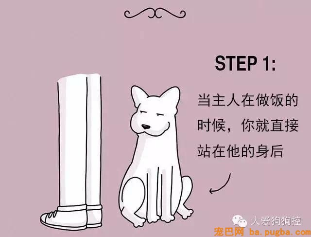狗狗们注意，当主人不听话的时候你会需要这个...-4.jpeg