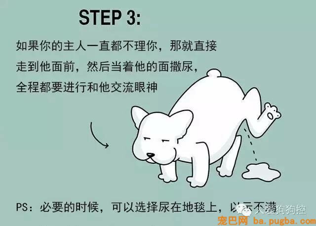 狗狗们注意，当主人不听话的时候你会需要这个...-3.jpeg