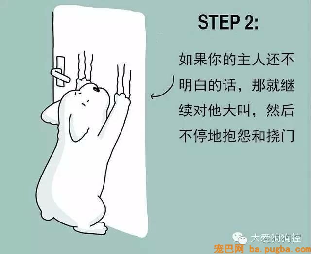 狗狗们注意，当主人不听话的时候你会需要这个...-2.jpeg