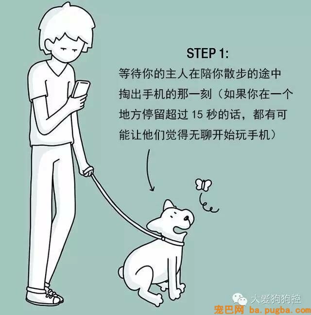 狗狗们注意，当主人不听话的时候你会需要这个...-8.jpeg