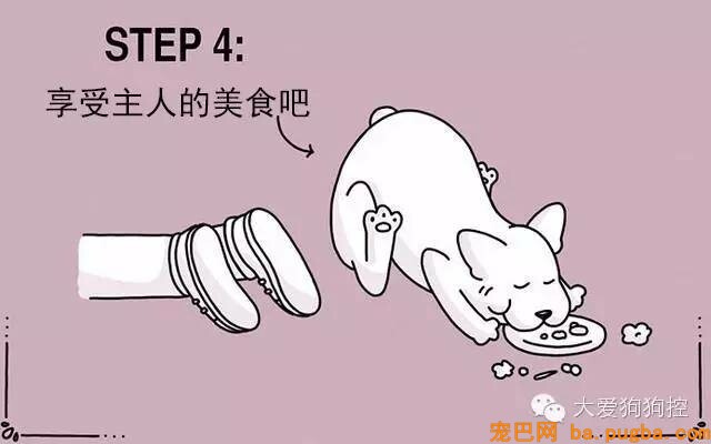 狗狗们注意，当主人不听话的时候你会需要这个...-7.jpeg