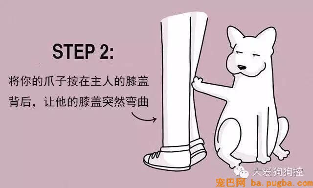 狗狗们注意，当主人不听话的时候你会需要这个...-5.jpeg