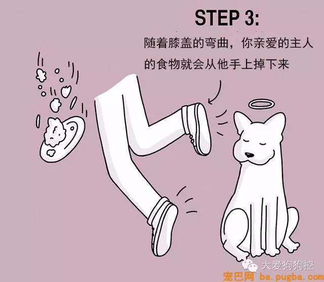 狗狗们注意，当主人不听话的时候你会需要这个...-6.jpeg