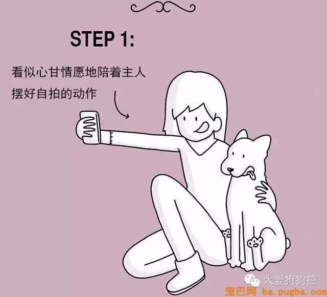 狗狗们注意，当主人不听话的时候你会需要这个...-11.jpeg