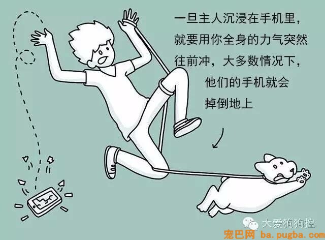 狗狗们注意，当主人不听话的时候你会需要这个...-9.jpeg
