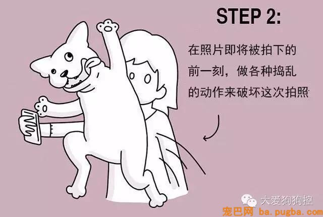 狗狗们注意，当主人不听话的时候你会需要这个...-12.jpeg