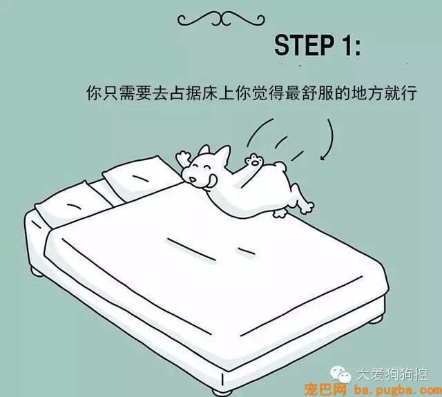 狗狗们注意，当主人不听话的时候你会需要这个...-14.jpeg