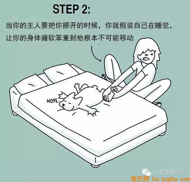 狗狗们注意，当主人不听话的时候你会需要这个...-15.jpeg