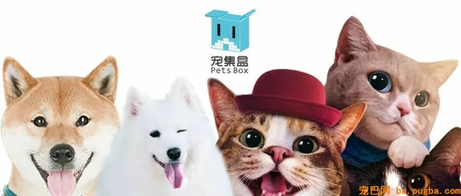 某狗场被数百人投诉，市场混乱，到底该如何买狗？-7.jpeg