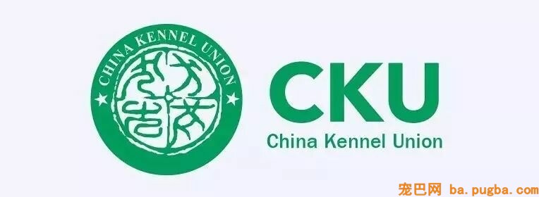 某狗场被数百人投诉，市场混乱，到底该如何买狗？-6.jpeg
